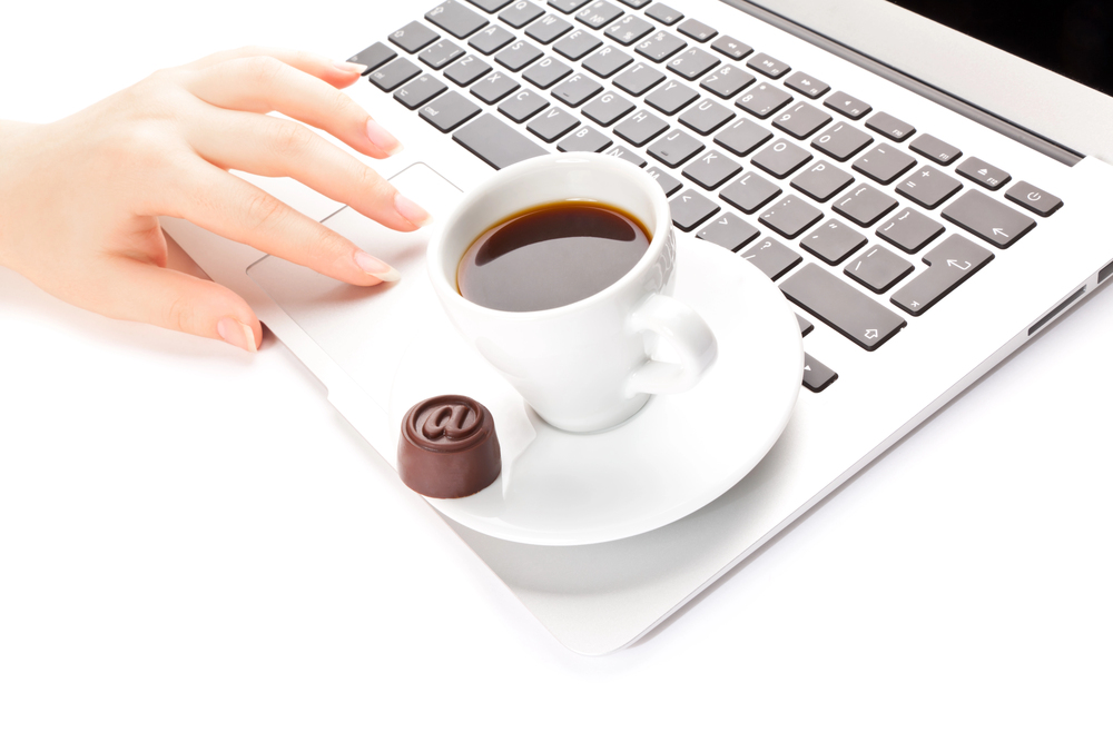 Website Themes