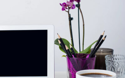Responsive vs. Mobile-Friendly Design