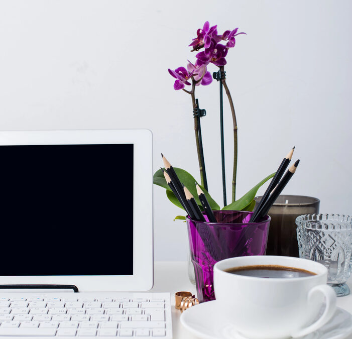 Responsive vs. Mobile-Friendly Design